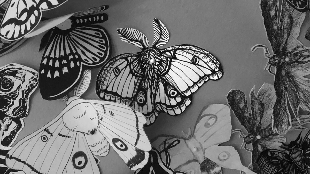 Moth illustrations Illustrations and linocut prints created for the Moth Migration Project - a crowd-sourced exhibition of hand-printed, drawn, and cut paper moths.